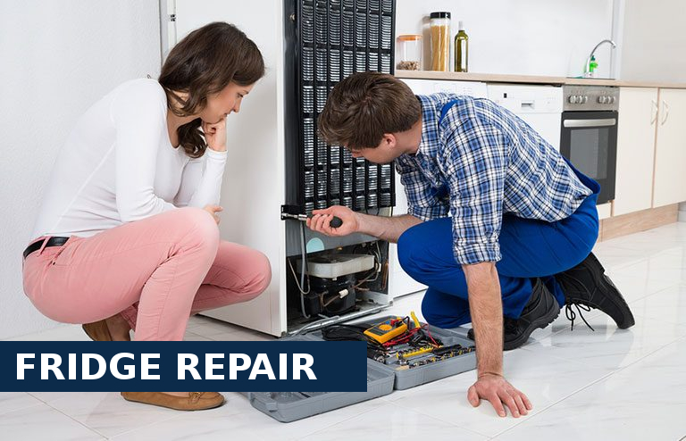 Fridge Repair Redbridge